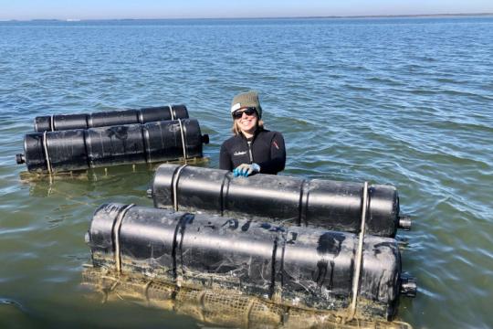 Adriane Michaelis harvesting oysters.