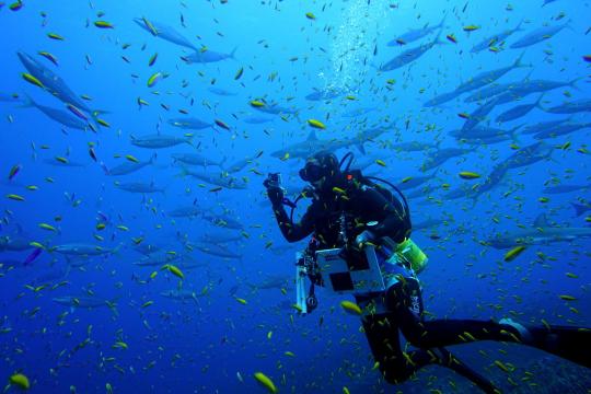 6000x4000-REA-survey-KevinLino.jpg